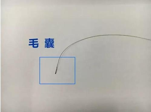 想做個(gè)人親子鑒定，頭發(fā)可以鑒定嗎？